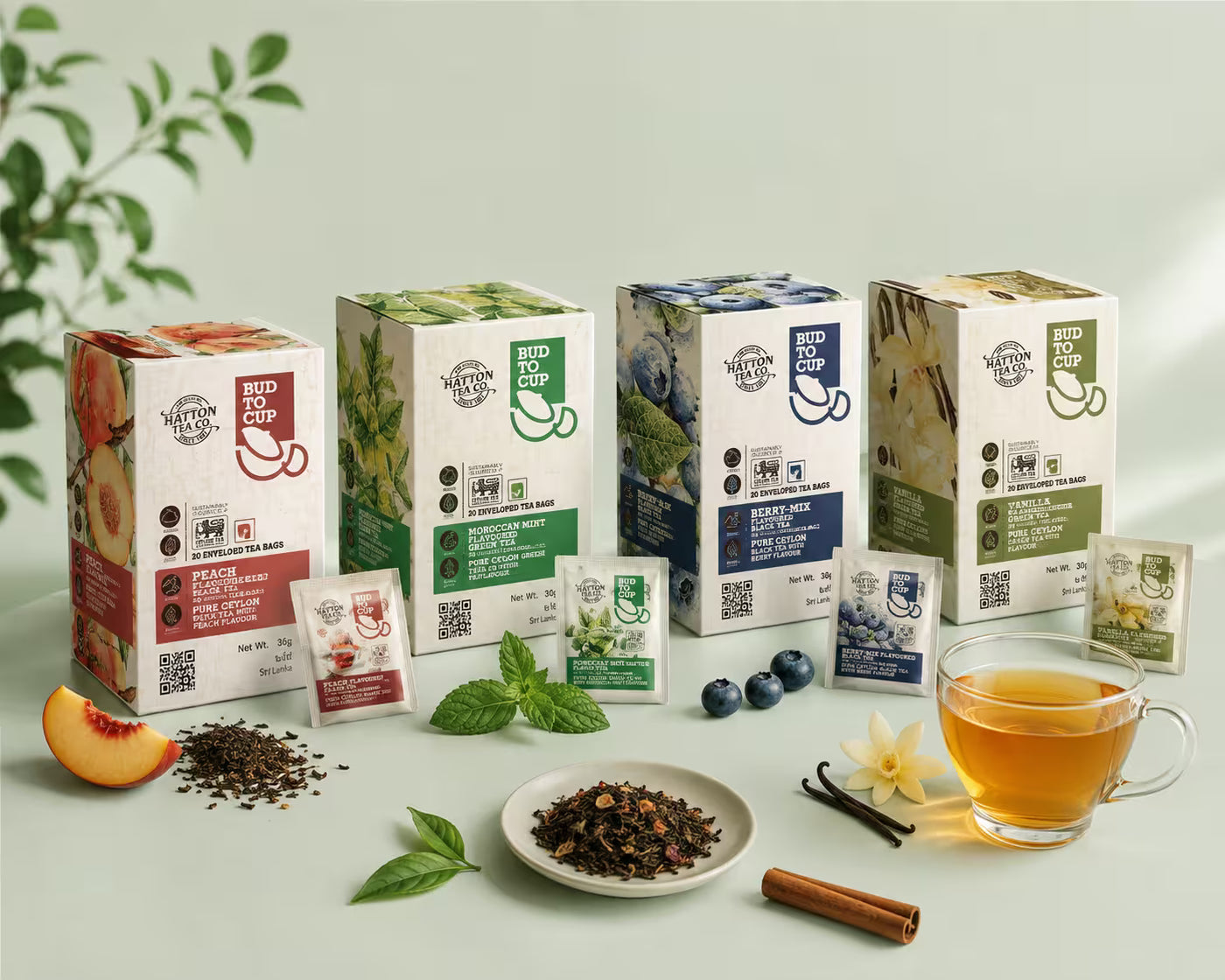 BUD TO CUP Pure Ceylon tea cartons arranged as a trade display with enveloped tea bags, loose tea and a brewed cup