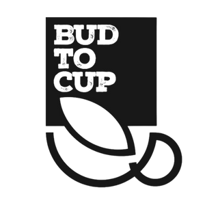 BudToCup-Store