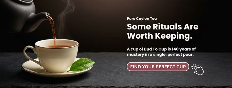 Tea being poured into a cup with a leaf, accompanied by promotional text for Pure Ceylon Tea.