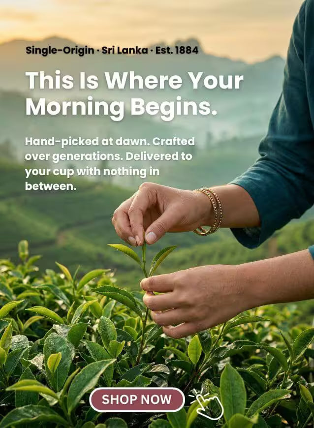 Person picking tea leaves with scenic tea plantation in the background, promoting Sri Lanka tea.