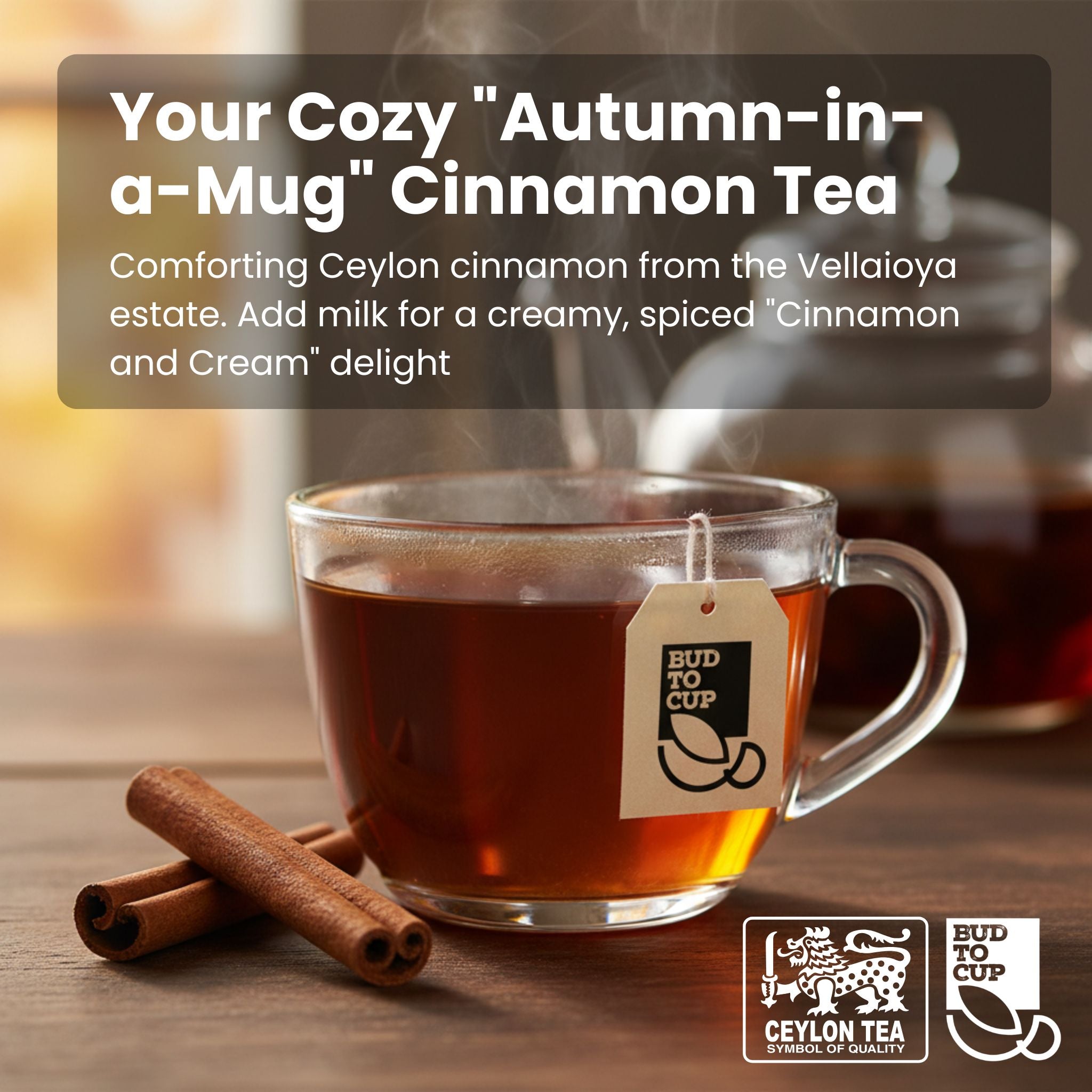 Glass mug of cinnamon tea with a tea bag, cinnamon sticks, and blurred background.