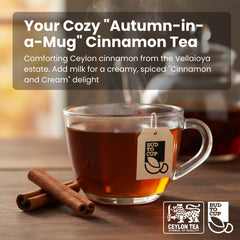 Glass mug of cinnamon tea with a tea bag, cinnamon sticks, and blurred background.