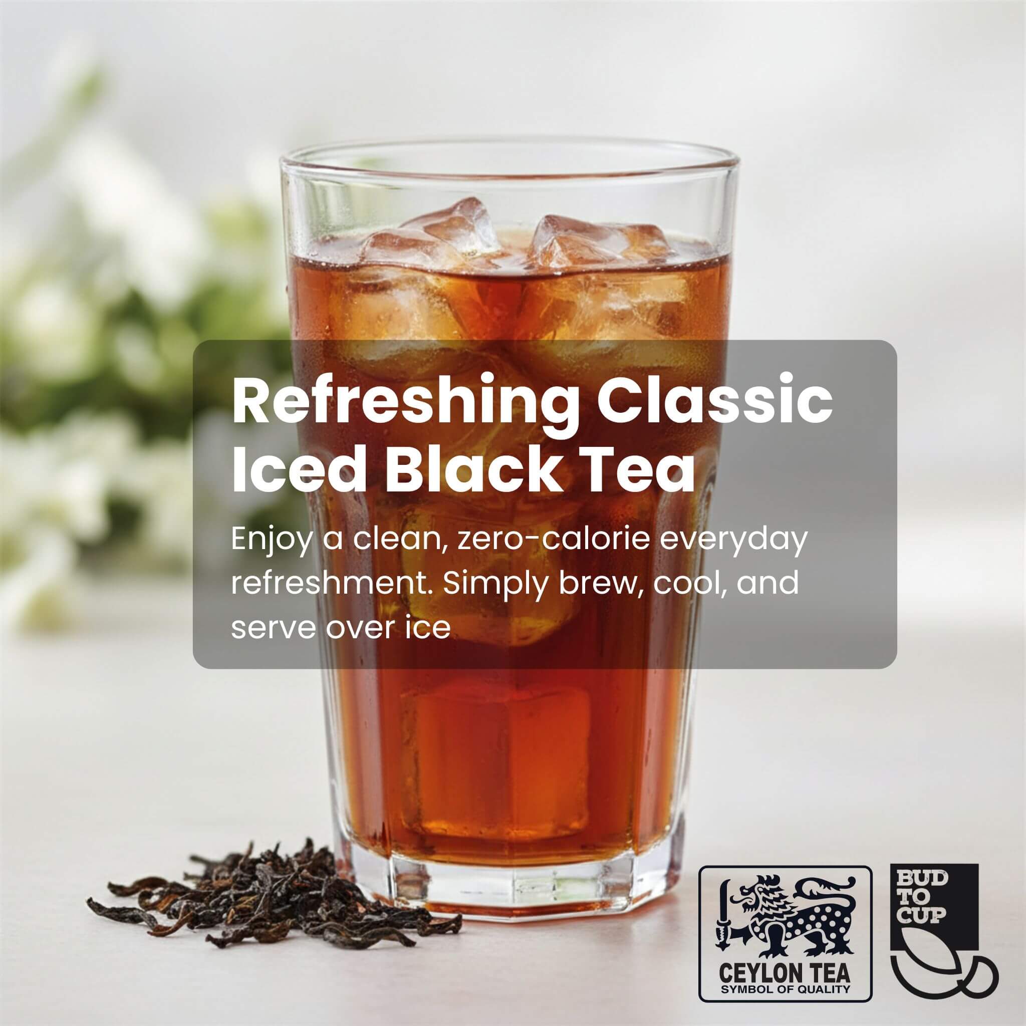 Glass of iced black tea with ice cubes, surrounded by loose tea leaves on a light background.