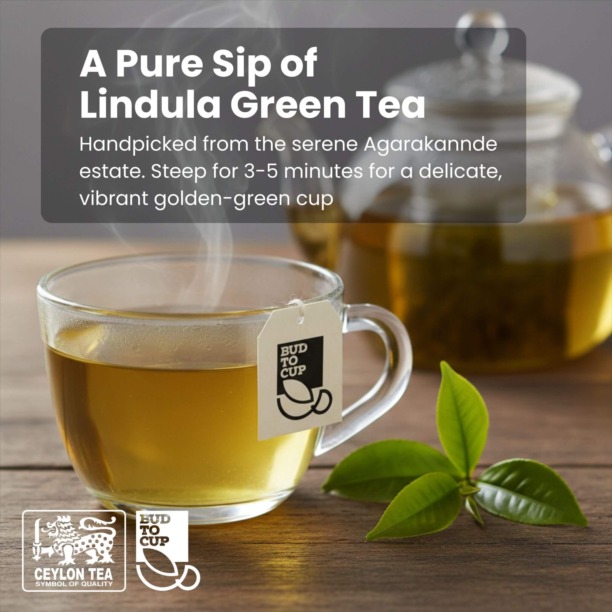 Glass cup of Lindula Green Tea with teapot and tea leaves on a wooden surface, featuring text about the tea's origin and brewing instructions.