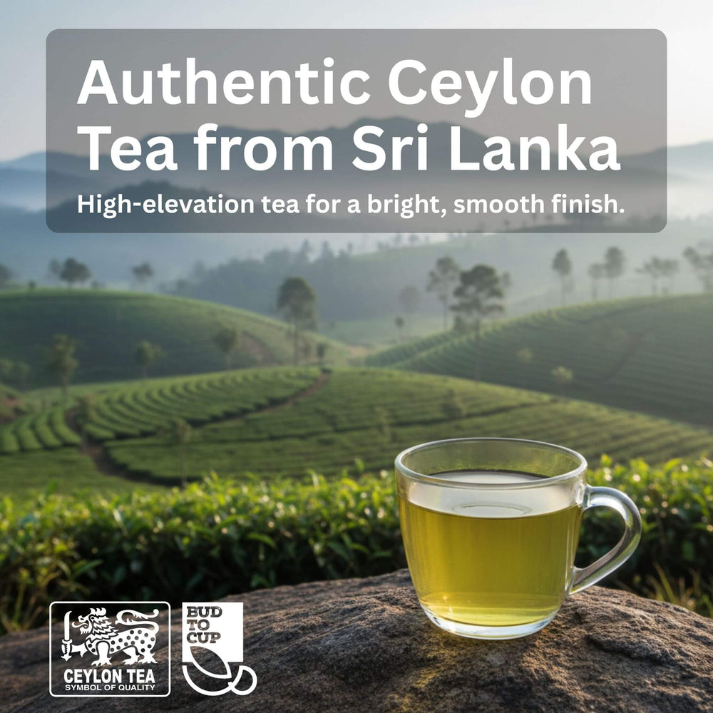 Cup of tea with tea fields and mountains in the background, promoting Authentic Ceylon Tea from Sri Lanka.
