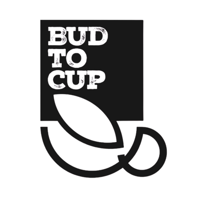 BUD TO CUP