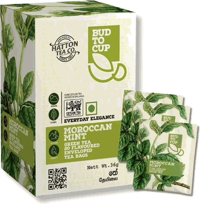 BUD TO CUP Moroccan Mint